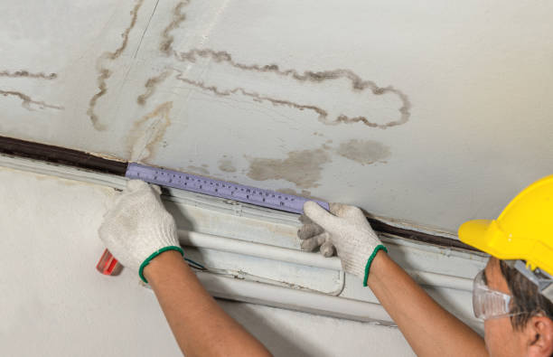 Reliable Water Damage contractor in West Jefferson, NC by Water Damage Irwin